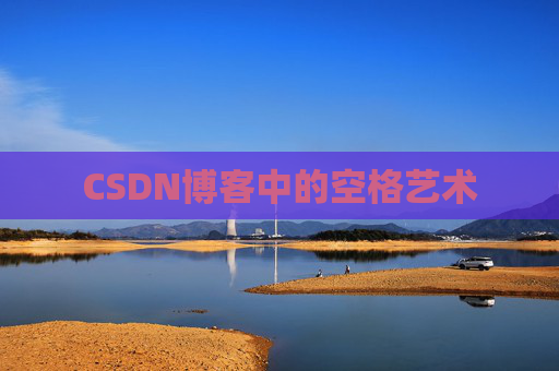 CSDN博客中的空格艺术